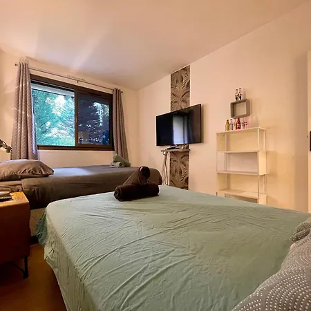 Apartmán Tour Eiffel Francois Gerard *